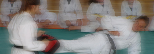 judo jujitsu evreux